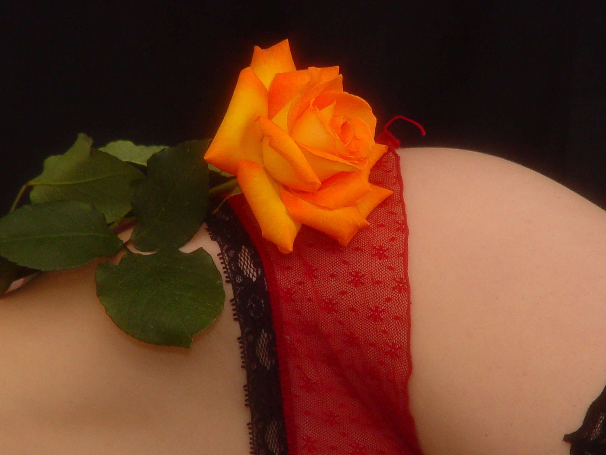 panties at lingeriewolf.com