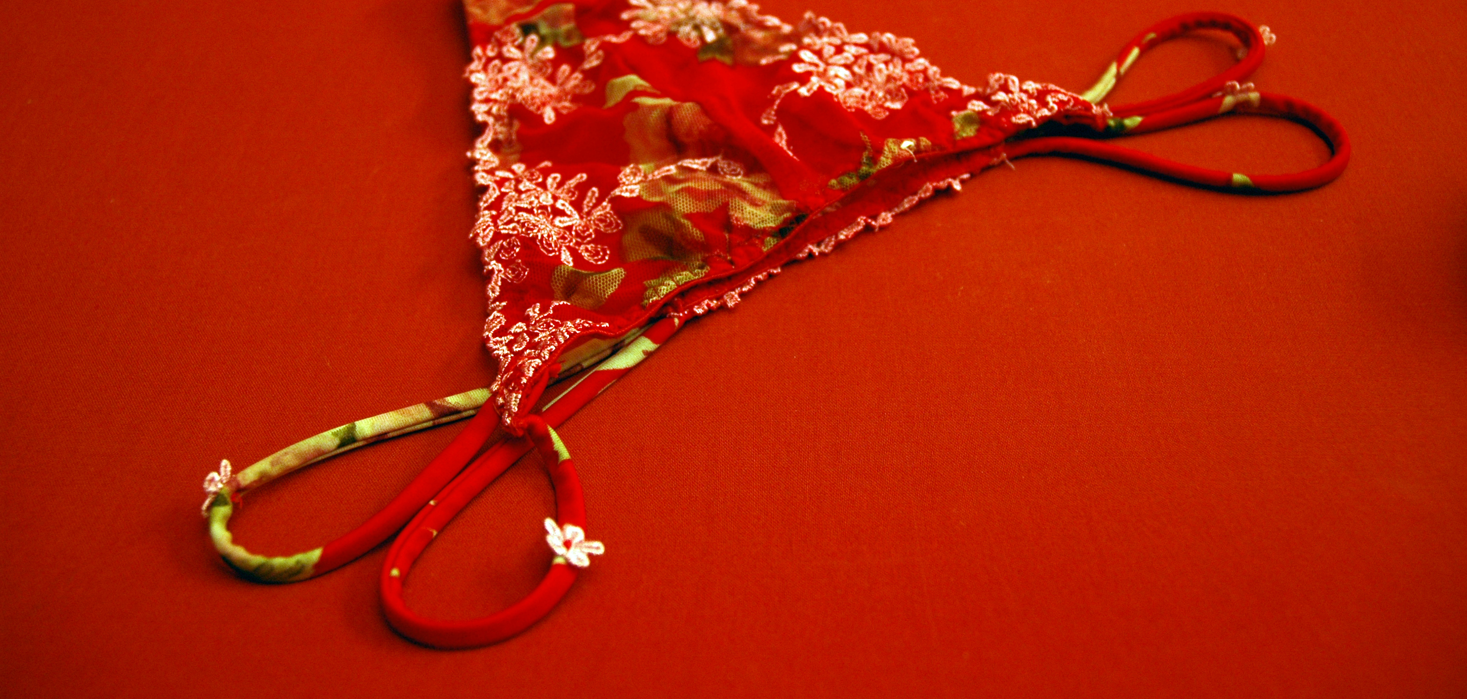 panties at lingeriewolf.com